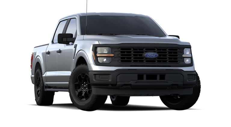 2024 Ford F-150 Vehicle Photo in Terrell, TX 75160